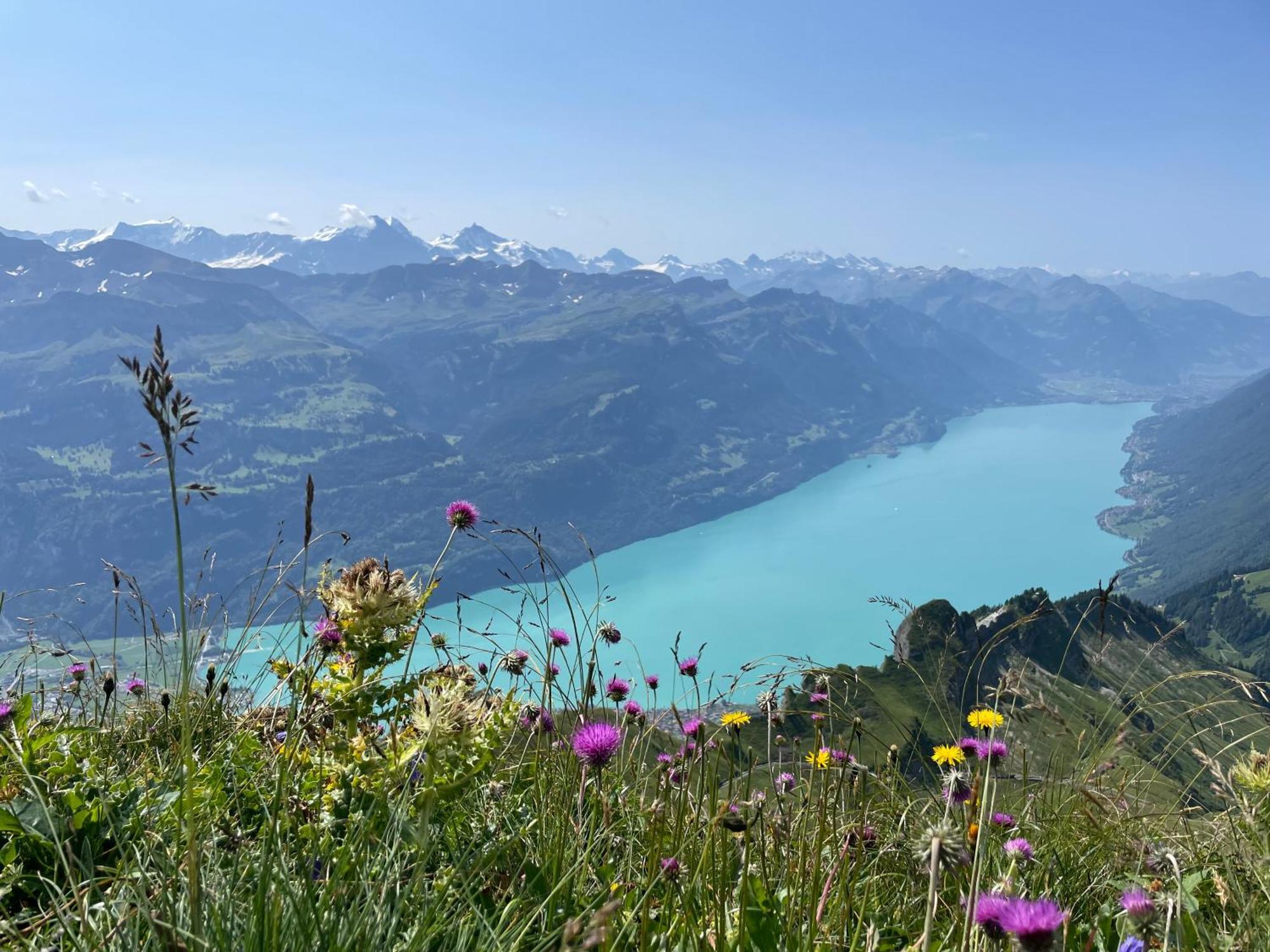 Romantic Lake & Mountain Apartment Pure Swissness Brienz  Exterior photo