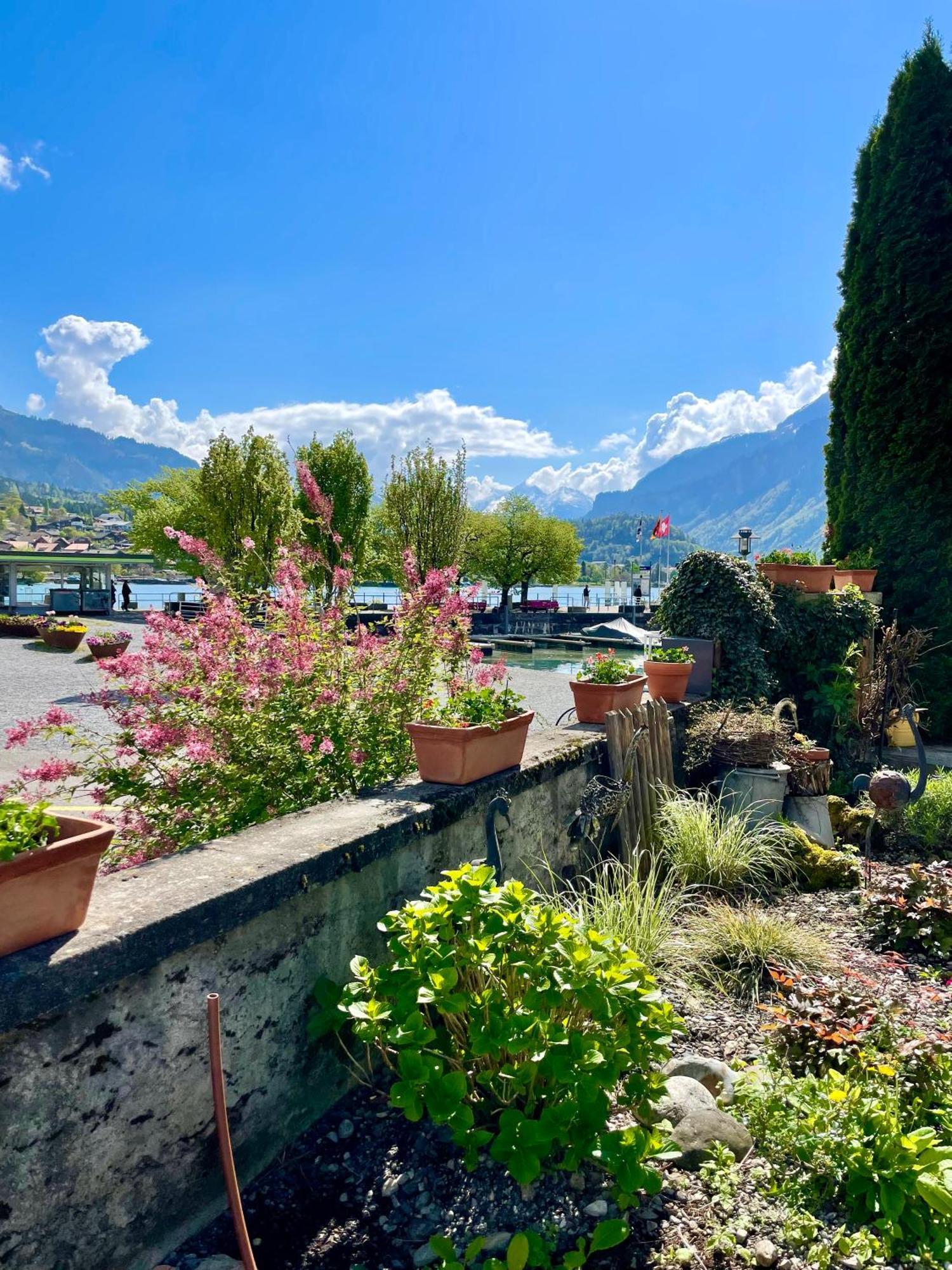 Romantic Lake & Mountain Apartment Pure Swissness Brienz  Exterior photo